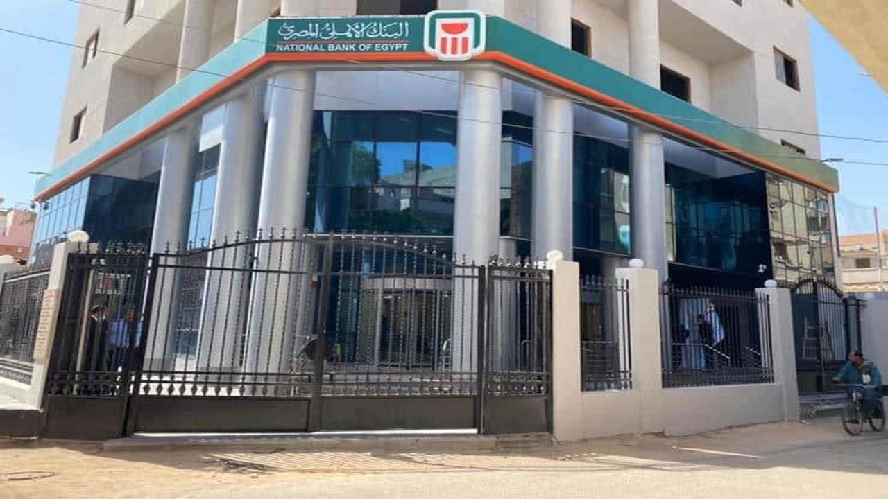 صورة تجربتي مع صناديق الاستثمار الأهلي