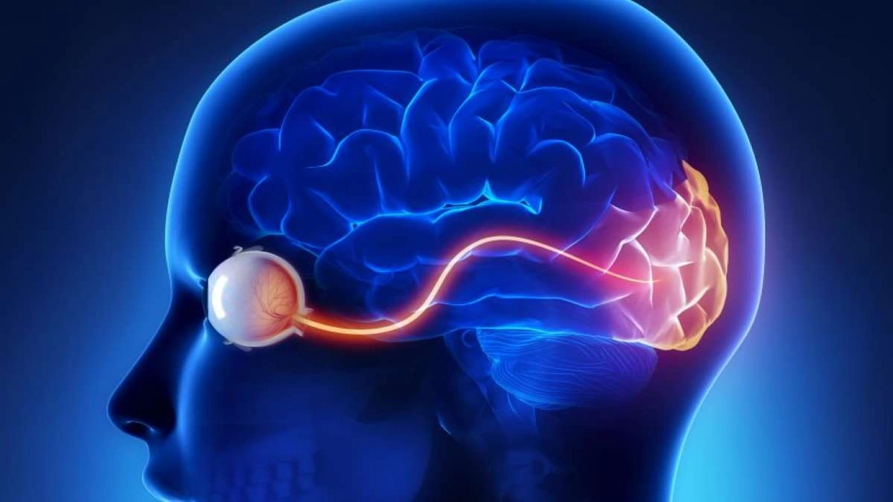 صورة تجربتي مع ضمور العصب البصري