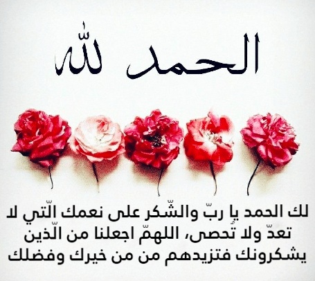 تجربتي مع قول الحمد لله