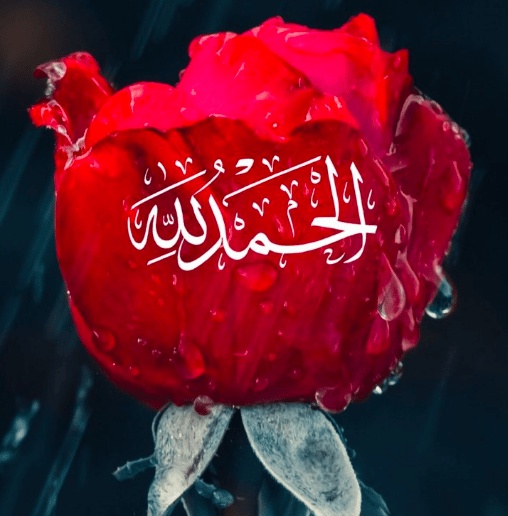 تجربتي مع قول الحمد لله