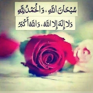 تجربتي مع قول الحمد لله