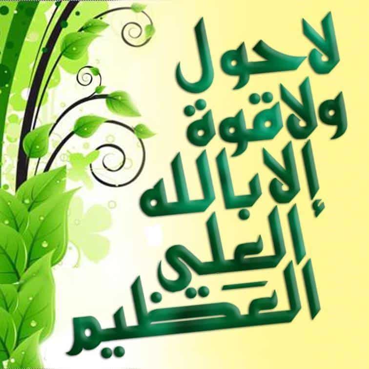 تجربتي مع ماشاء الله لاقوة الا بالله