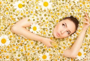 تجربتي مع مغلي البابونج للبشرة