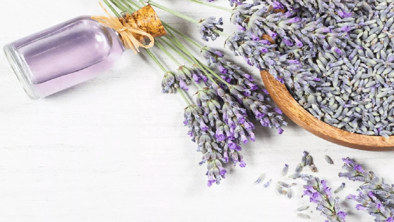 صورة تجربتي مع منقوع الخزامى للشعر