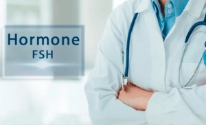 تجربتي مع نقص هرمون fsh