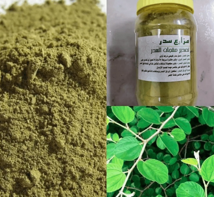 تجربتي مع ورق السدر للسحر