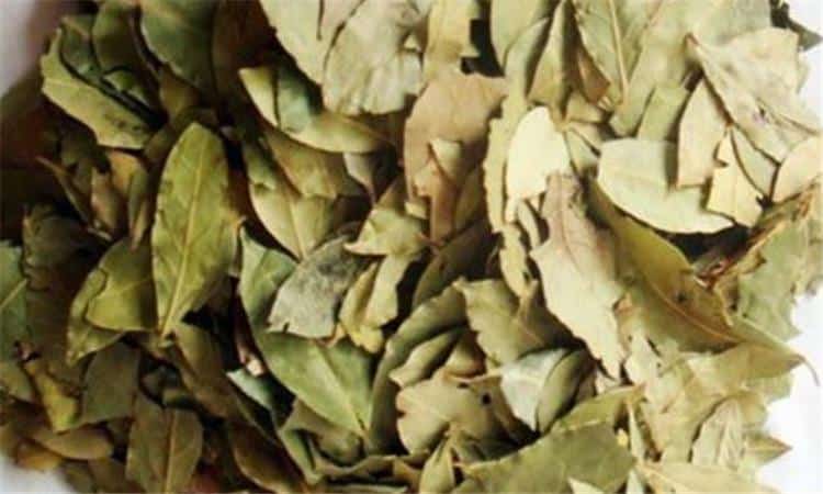 تجربتي مع ورق السدر للسحر