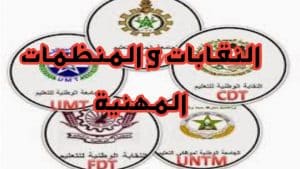 تحضير درس النقابات والمنظمات المهنية