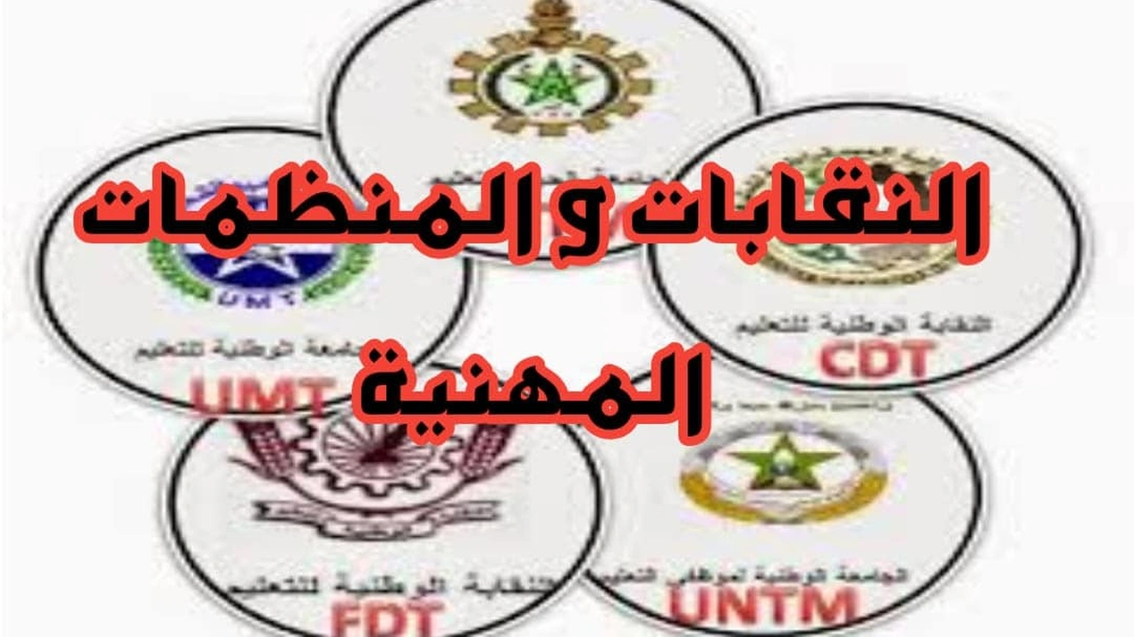 صورة تحضير درس النقابات والمنظمات المهنية