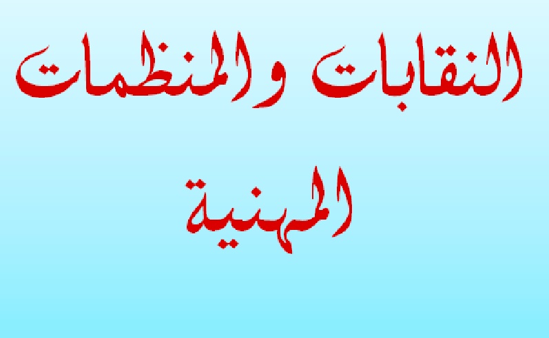 تحضير درس النقابات والمنظمات المهنية