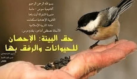 تحضير درس حق البيئة الإحسان للحيوانات والرفق بها