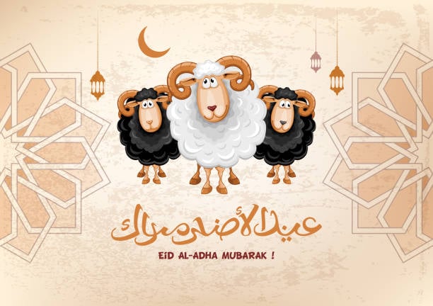 تحميل صور عيد الاضحى