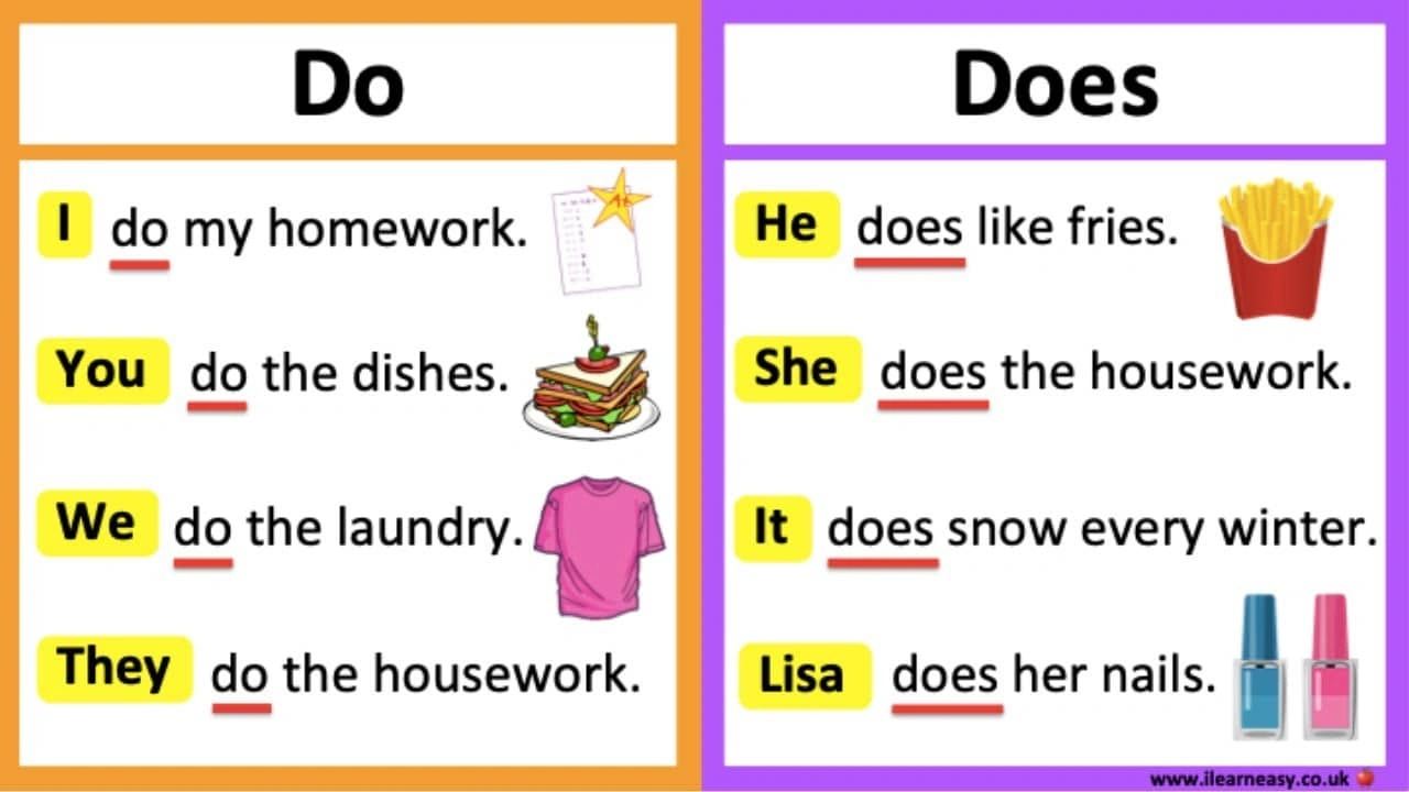صورة تدريبات على do does