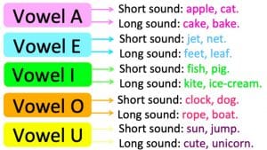 تدريبات على short vowels
