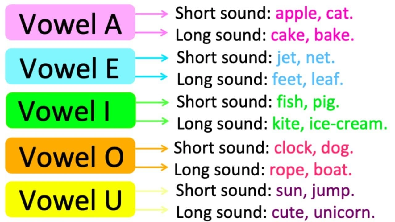 صورة تدريبات على short vowels