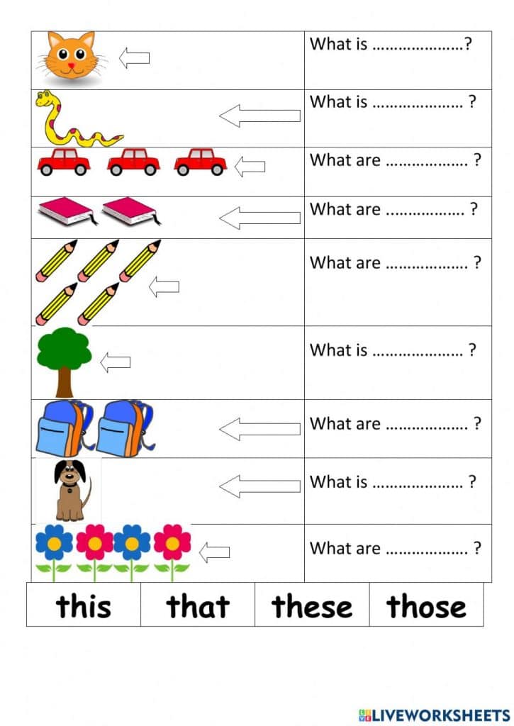 تدريبات على this is و these are