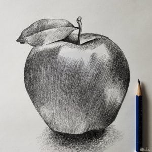 تدريبات على الرسم