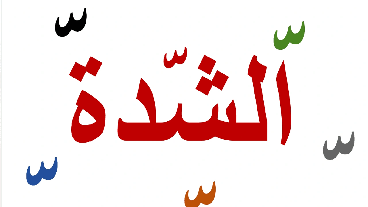 صورة تدريبات على الشدة والتنوين