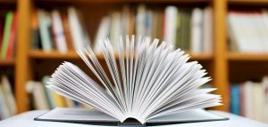 تدريبات على المثنى