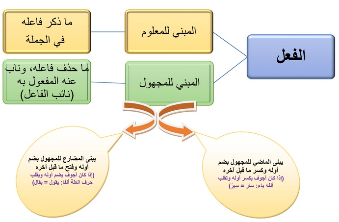 تدريبات على بناء الفعل للمجهول