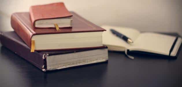 تدريبات على رفع الفعل المضارع