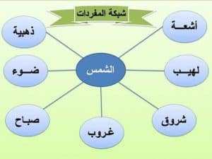 تدريبات على شبكة المفردات