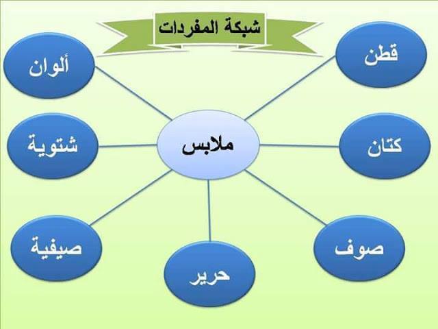 تدريبات على شبكة المفردات