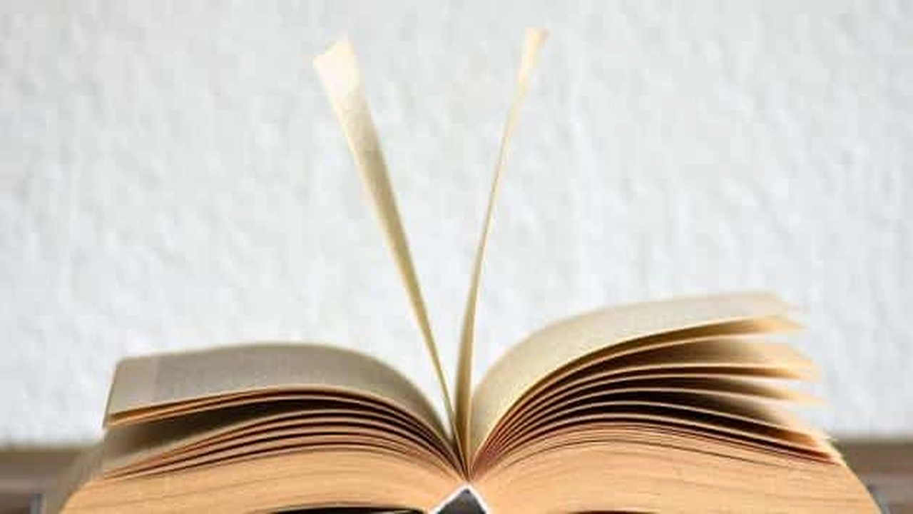 صورة تدريبات على ما الاستفهامية