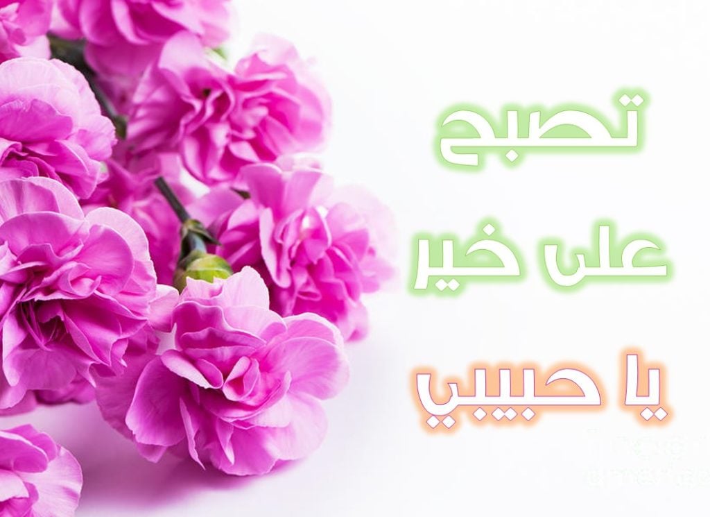 تصبح على خير