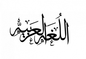 تصريف الافعال العربية في جميع الازمنة