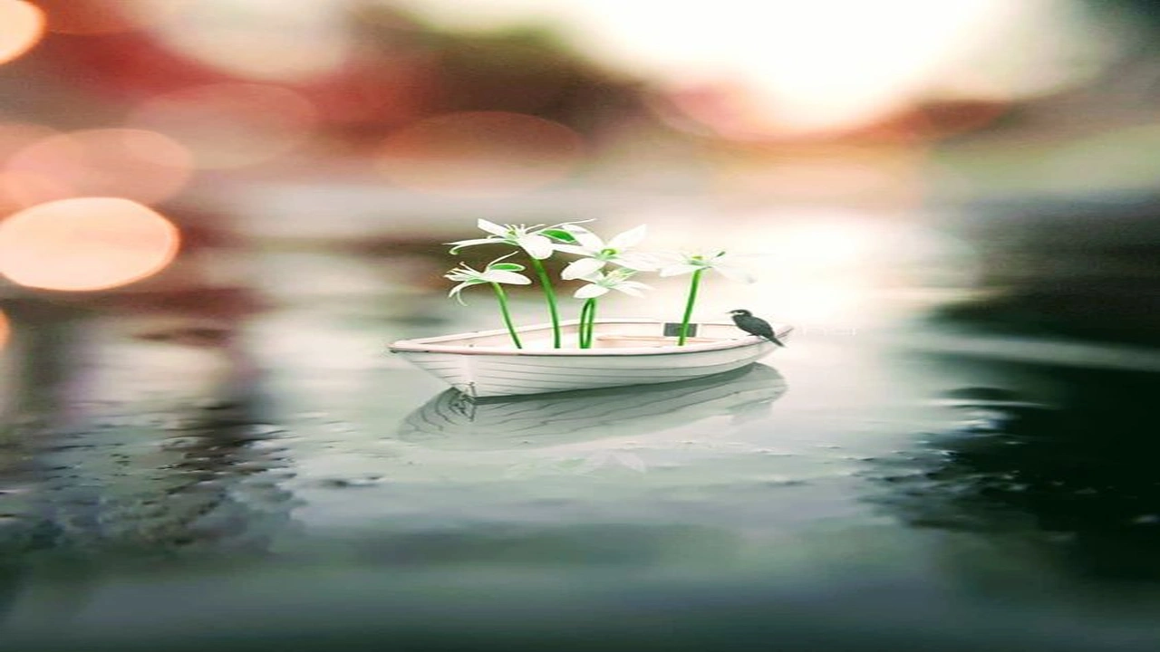 صورة تعبير عن القرار اتخذته بالانجليزي