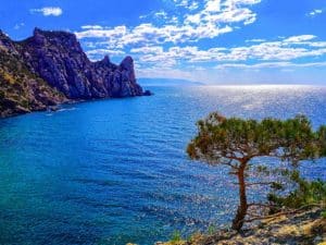 تعبير عن خيرات البحر