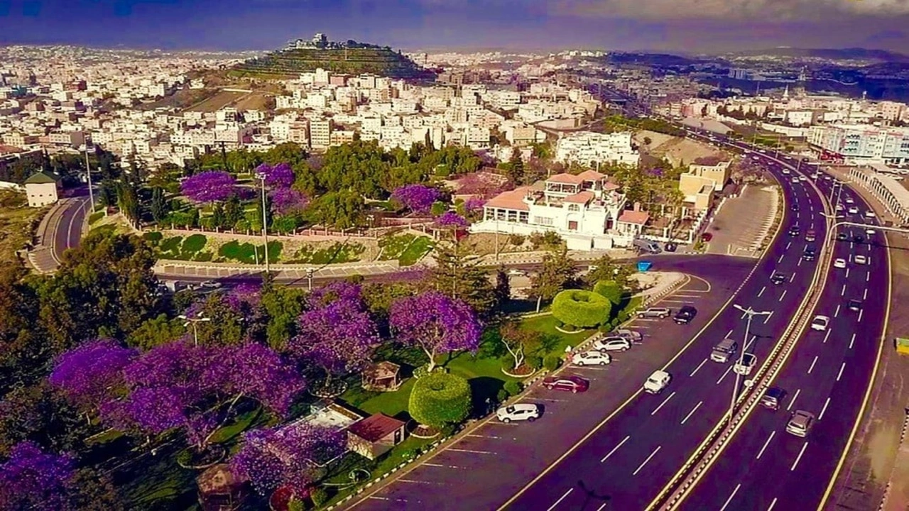 صورة تعبير عن مدينة ابها بالانجليزي