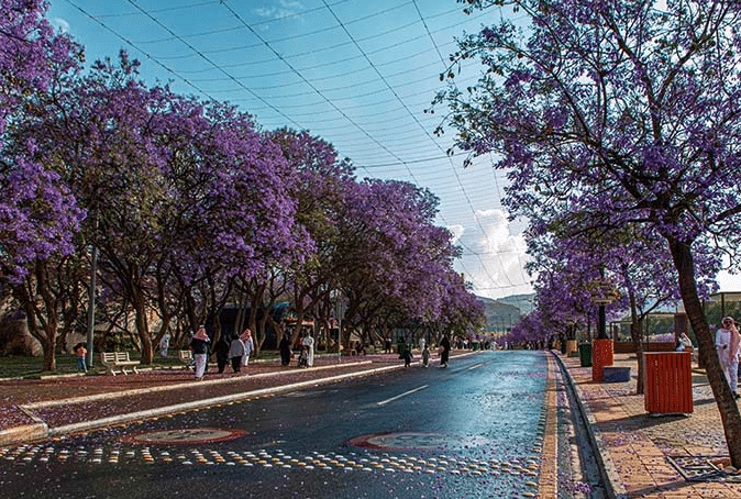 تعبير عن مدينة ابها بالانجليزي