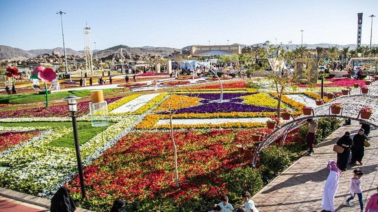 صورة تعبير عن مدينة الطائف بالانجليزي
