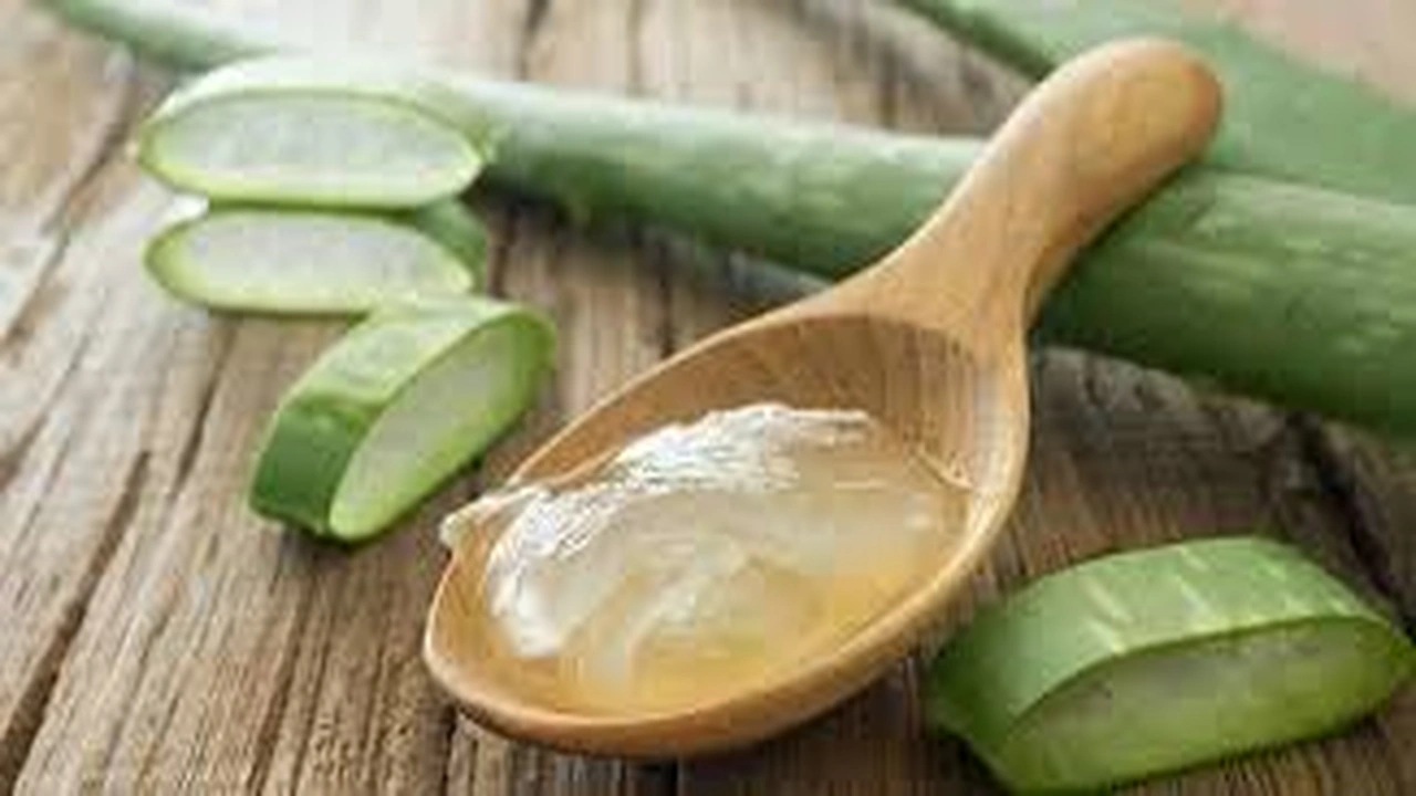 صورة تعرف على التأثير السحري لجل الصبار على الشعر 