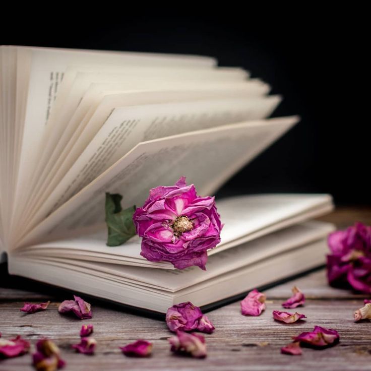 تعريف شعر الغزل في العصر الاموي