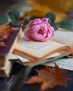 تعريف شعر الغزل في العصر الاموي