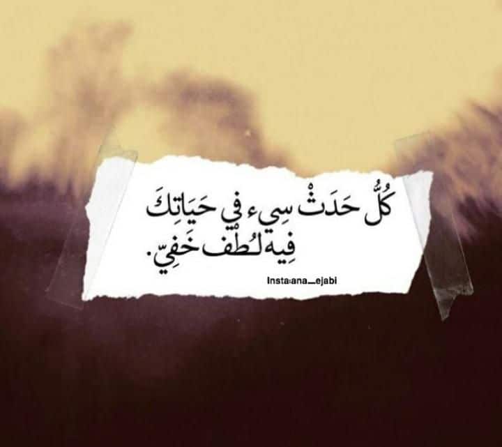 تغريدات عن الرفق
