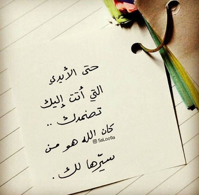 تغريدات عن الرفق