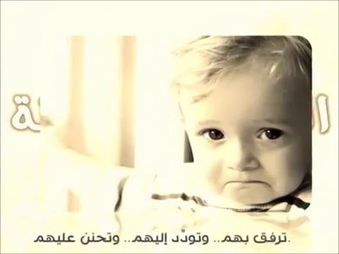 تغريدات عن الرفق