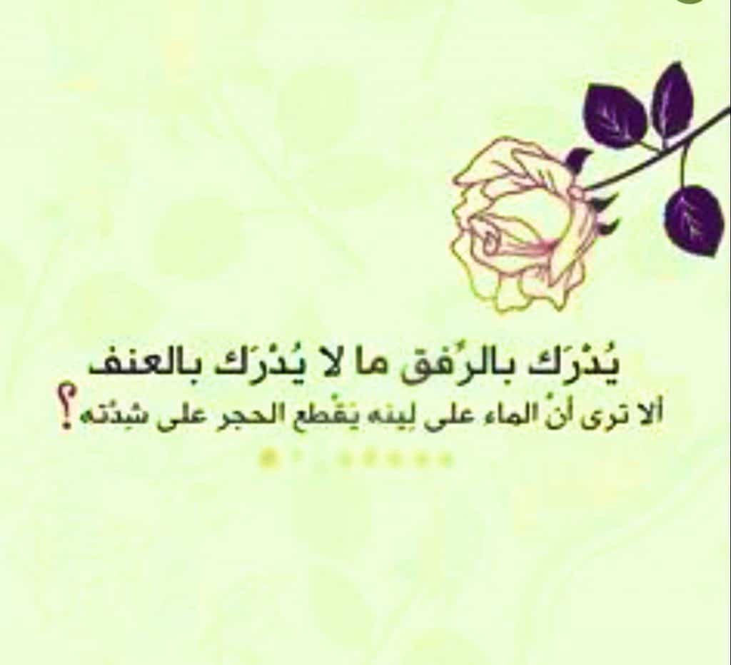 تغريدات عن الرفق