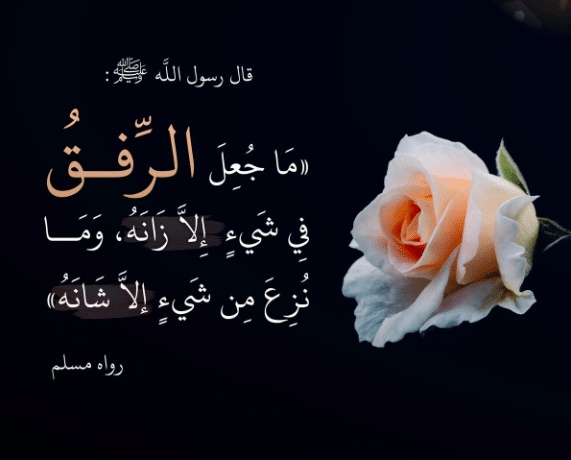 تغريدات عن الرفق
