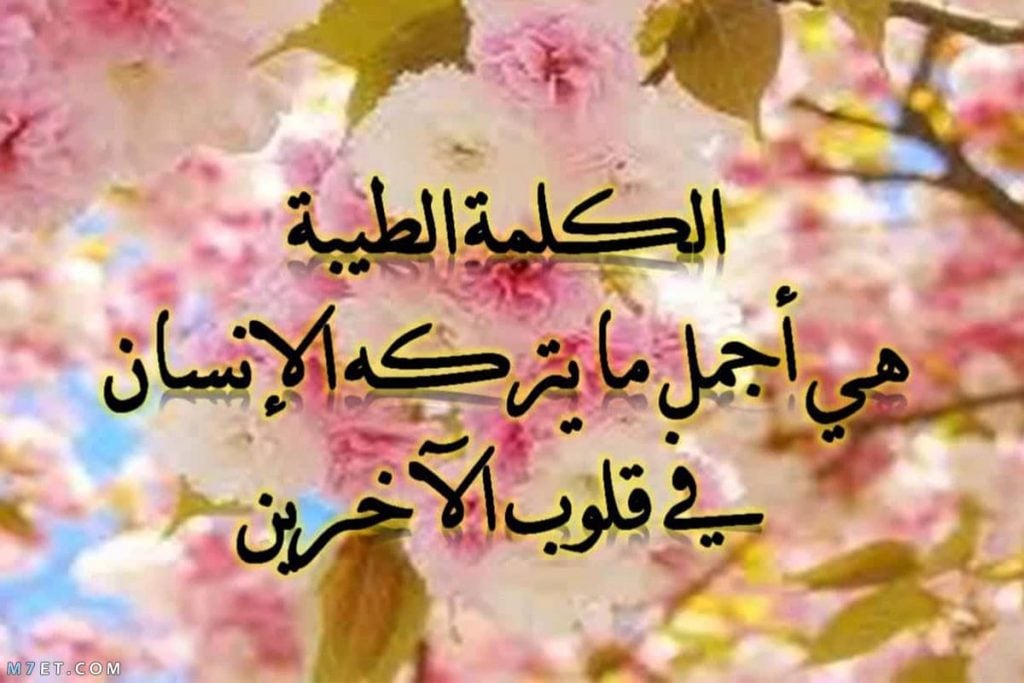 تغريدات عن الرفق
