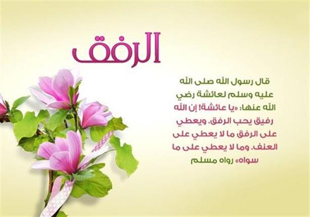 تغريدات عن الرفق