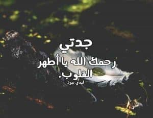 تغريدات عن جدتي المتوفيه