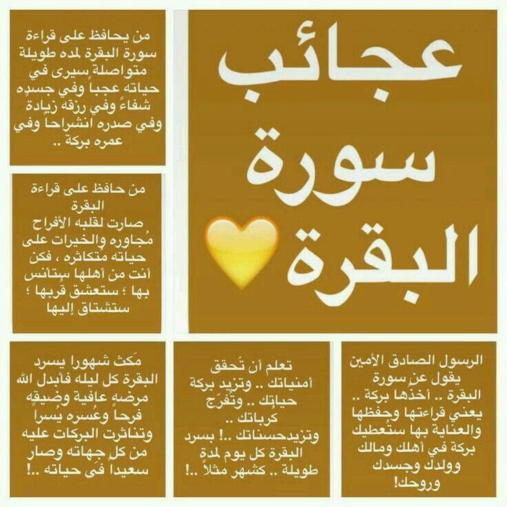 تغريدات عن سورة البقرة