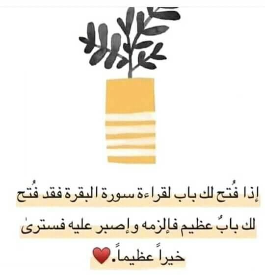 تغريدات عن سورة البقرة