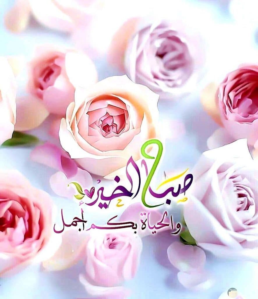 تغريدات عن صباح الخير
