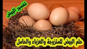 تفسير حلم البيض المسلوق والمقلي في المنام للحامل للمتزوجة و للبنت للعزباء 